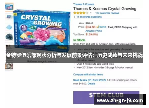 金特罗俱乐部现状分析与发展前景评估:历史成绩与未来挑战