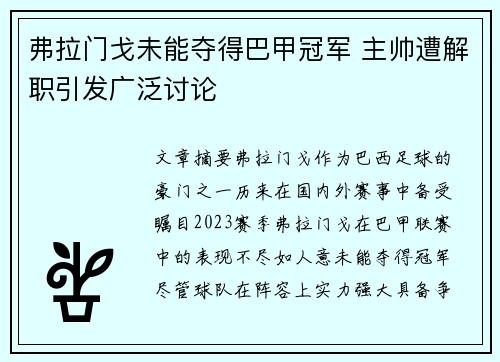 弗拉门戈未能夺得巴甲冠军 主帅遭解职引发广泛讨论